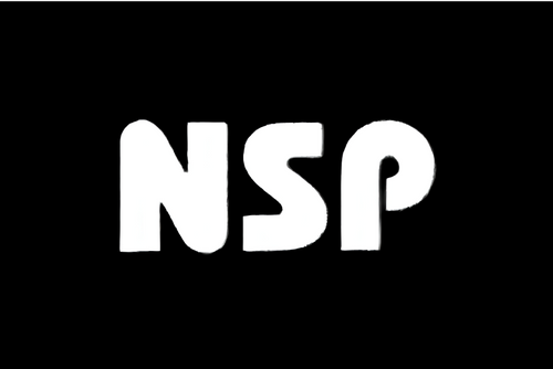 Nelson Sports Products Logo